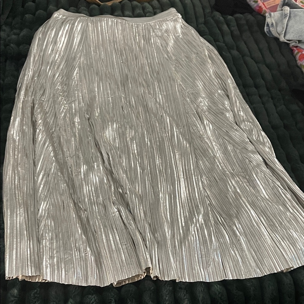 Anthropologie Metallic Silver A-Line Skirt